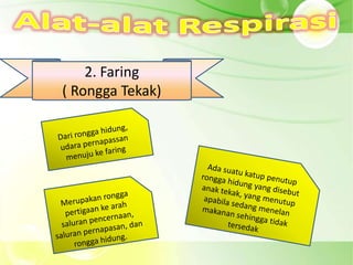 2. Faring
( Rongga Tekak)
 