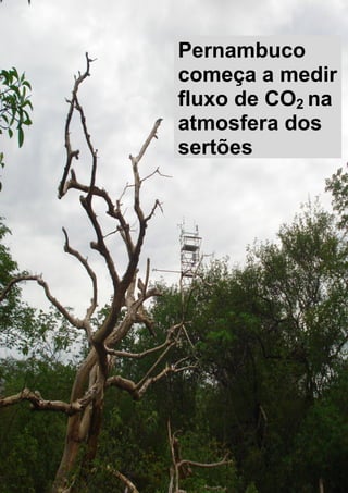 Pernambuco
começa a medir
fluxo de CO2 na
atmosfera dos
sertões
 
