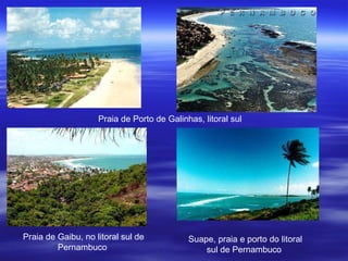 Praia de Porto de Galinhas, litoral sul  Praia de Gaibu, no litoral sul de Pernambuco  Suape, praia e porto do litoral sul de Pernambuco  