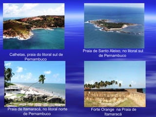 Calhetas, praia do litoral sul de Pernambuco  Praia de Santo Aleixo, no litoral sul de Pernambuco  Praia de Itamaracá, no litoral norte de Pernambuco  Forte Orange  na Praia de Itamaracá  