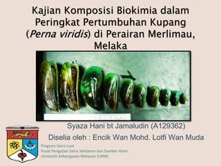 Kajian Komposisi Biokimia dalam 
Peringkat Pertumbuhan Kupang 
(Perna viridis) di Perairan Merlimau, 
Melaka 
Syaza Hani bt Jamaludin (A129362) 
Diselia oleh : Encik Wan Mohd. Lotfi Wan Muda 
Program Sains Laut 
Pusat Pengajian Sains Sekitaran dan Sumber Alam 
Universiti Kebangsaan Malaysia (UKM) 
 