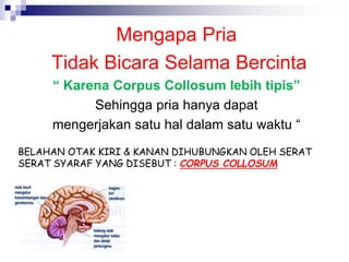 BELAHAN OTAK KIRI & KANAN DIHUBUNGKAN OLEH SERAT
SERAT SYARAF YANG DISEBUT : CORPUS COLLOSUM
Mengapa Pria
Tidak Bicara Selama Bercinta
“ Karena Corpus Collosum lebih tipis”
Sehingga pria hanya dapat
mengerjakan satu hal dalam satu waktu “
 