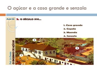 O açúcar e a casa grande e senzala
 