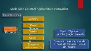 Sociedade Colonial Açucareira e Escravidão
Engenho
(unidade produtora):
Tipos: d’água ou
trapiche (tração animal)
Estrutura: casa da moenda
+ casa da fornalha + casa
de purgar. 10
Senzal
a
Capel
a
Características:
Lavoura
Casa
Grande
Fazenda
 