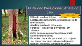 O Período Pré-Colonial: A fase do
pau-
brasil
(1500 a1530)
•Utilidade: madeira tintorial
•Localização: do Rio Grande do Norte ao Rio de
Janeiro (litoral);
•Atividade predatória e itinerante;
•Feitorias: instalações provisórias em
diversos
pontos da costa para armazenarpau-brasil;
•Mão de obra indígena;
•Escambo: troca de pau-brasil por objetos
de pouco valor entre índios eportugueses;
•Estanco: monopólio comercialda Coroa
 