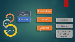 9
CICL
O
AÇUCA
R
Plantation
DO
Escravidã
o
Indígena
Negra
↑ Lucros com
o tráfico
negreiro.
Latifúndio
Monocultura
PACTO
COLONIAL:
 
