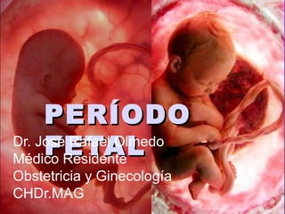 PERÍODO
PERÍODO
FETAL
FETAL
Dr. José Rafael Olmedo
Médico Residente
Obstetricia y Ginecología
CHDr.MAG
 
