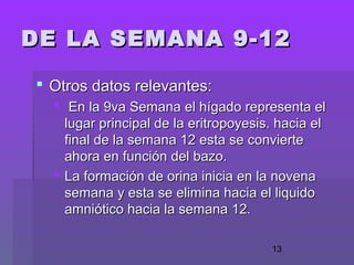 13
 Otros datos relevantes:Otros datos relevantes:
 En la 9va Semana el hígado representa elEn la 9va Semana el hígado representa el
lugar principal de la eritropoyesis. hacia ellugar principal de la eritropoyesis. hacia el
final de la semana 12 esta se conviertefinal de la semana 12 esta se convierte
ahora en función del bazo.ahora en función del bazo.
 La formación de orina inicia en la novenaLa formación de orina inicia en la novena
semana y esta se elimina hacia el liquidosemana y esta se elimina hacia el liquido
amniótico hacia la semana 12.amniótico hacia la semana 12.
DE LA SEMANA 9-12DE LA SEMANA 9-12
 