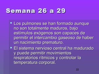 22
Semana 26 a 29Semana 26 a 29
 Los pulmones se han formado aunqueLos pulmones se han formado aunque
no son totalmente maduros, bajono son totalmente maduros, bajo
estímulos exógenos son capaces deestímulos exógenos son capaces de
permitir el intercambio gaseoso de haberpermitir el intercambio gaseoso de haber
un nacimiento prematuro.un nacimiento prematuro.
 El sistema nervioso central ha maduradoEl sistema nervioso central ha madurado
y puede permitir movimientosy puede permitir movimientos
respiratorios rítmicos y controlar larespiratorios rítmicos y controlar la
temperatura corporal.temperatura corporal.
 