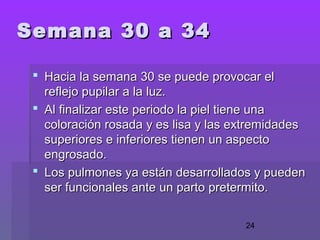 24
 Hacia la semana 30 se puede provocar elHacia la semana 30 se puede provocar el
reflejo pupilar a la luz.reflejo pupilar a la luz.
 Al finalizar este periodo la piel tiene unaAl finalizar este periodo la piel tiene una
coloración rosada y es lisa y las extremidadescoloración rosada y es lisa y las extremidades
superiores e inferiores tienen un aspectosuperiores e inferiores tienen un aspecto
engrosado.engrosado.
 Los pulmones ya están desarrollados y puedenLos pulmones ya están desarrollados y pueden
ser funcionales ante un parto pretermito.ser funcionales ante un parto pretermito.
Semana 30 a 34Semana 30 a 34
 