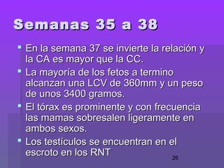 26
 En la semana 37 se invierte la relación yEn la semana 37 se invierte la relación y
la CA es mayor que la CC.la CA es mayor que la CC.
 La mayoría de los fetos a terminoLa mayoría de los fetos a termino
alcanzan una LCV de 360mm y un pesoalcanzan una LCV de 360mm y un peso
de unos 3400 gramos.de unos 3400 gramos.
 El tórax es prominente y con frecuenciaEl tórax es prominente y con frecuencia
las mamas sobresalen ligeramente enlas mamas sobresalen ligeramente en
ambos sexos.ambos sexos.
 Los testículos se encuentran en elLos testículos se encuentran en el
escroto en los RNTescroto en los RNT
Semanas 35 a 38Semanas 35 a 38
 