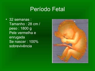 Período Fetal
• 32 semanas :
Tamanho : 28 cm /
peso : 1800 g
Pele vermelha e
enrugada
Se nascer : 100%
sobrevivência
 