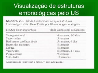 Visualização de estruturas
embriológicas pelo US
 