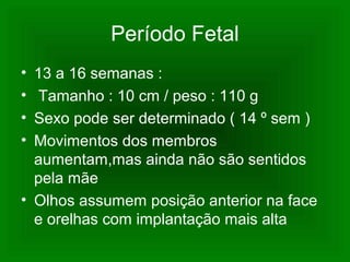 Período Fetal
• 13 a 16 semanas :
• Tamanho : 10 cm / peso : 110 g
• Sexo pode ser determinado ( 14 º sem )
• Movimentos dos membros
aumentam,mas ainda não são sentidos
pela mãe
• Olhos assumem posição anterior na face
e orelhas com implantação mais alta
 