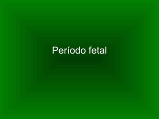 Período fetal
 