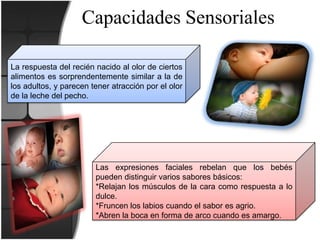 Período Neonatal | PPTX