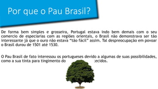 Por que o Pau Brasil?
De forma bem simples e grosseira, Portugal estava indo bem demais com o seu
comercio de especiarias com as regiões orientais, o Brasil não demonstrava ser tão
interessante já que o ouro não estava “tão fácil” assim. Tal despreocupação em povoar
o Brasil durou de 1501 até 1530.
O Pau Brasil de fato interessou os portugueses devido a algumas de suas possibilidades,
como a sua tinta para tingimento dos mais variados tecidos.
 