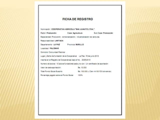 Períodos de la Organización.pptx