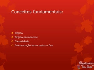 Conceitos fundamentais:



 Objeto
 Objeto permanente
 Causalidade
 Diferenciação entre meios e fins
 