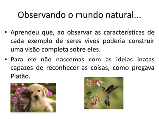 Observando o mundo natural...
• Aprendeu que, ao observar as características de
cada exemplo de seres vivos poderia construir
uma visão completa sobre eles.
• Para ele não nascemos com as ideias inatas
capazes de reconhecer as coisas, como pregava
Platão.
 