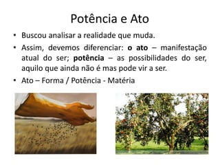 Potência e Ato 
•Buscou analisar a realidade que muda. 
•Assim, devemos diferenciar: o ato – manifestação atual do ser; potência – as possibilidades do ser, aquilo que ainda não é mas pode vir a ser. 
•Ato – Forma / Potência - Matéria  