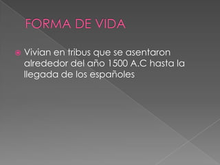 FORMA DE VIDAVivian en tribus que se asentaron alrededor del año 1500 A.C hasta la llegada de los españoles
