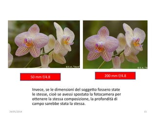 Invece, se le dimensioni del soggetto fossero state
le stesse, cioè se avessi spostato la fotocamera per
ottenere la stessa composizione, la profondità di
campo sarebbe stata la stessa.
24/05/2014 15
200 mm f/4.850 mm f/4.8
 