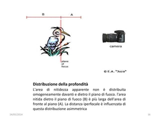Distribuzione della profondità
L'area di nitidezza apparente non è distribuita
omogeneamente davanti e dietro il piano di fuoco. l'area
nitida dietro il piano di fuoco (B) è più larga dell'area di
fronte al piano (A). La distanza iperfocale è influenzata di
questa distribuzione asimmetrica
24/05/2014 16
 