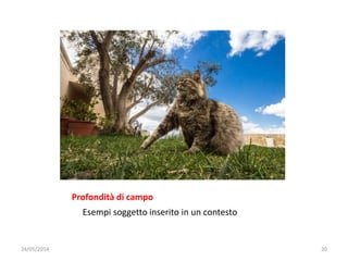 Profondità di campo
Esempi soggetto inserito in un contesto
24/05/2014 20
 