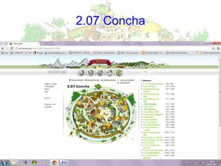 2.07 Concha 