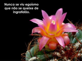 Nunca se viu egoísmo que não se queixe de ingratidão. 
