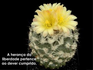 A herança da liberdade pertence ao dever cumprido. 