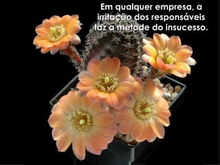 Em qualquer empresa, a irritação dos responsáveis faz a metade do insucesso. 