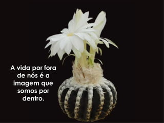A vida por fora de nós é a imagem que somos por dentro. 