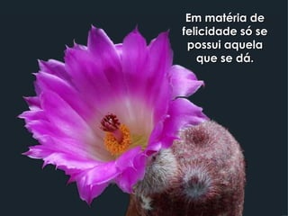 Em matéria de felicidade só se possui aquela que se dá. 