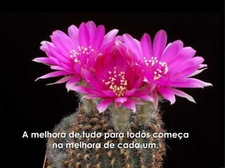 A melhora de tudo para todos começa na melhora de cada um. 