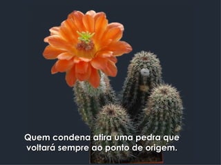 Quem condena atira uma pedra que voltará sempre ao ponto de origem. 