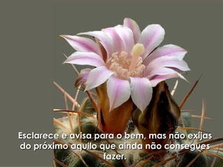 Esclarece e avisa para o bem, mas não exijas do próximo aquilo que ainda não consegues fazer. 