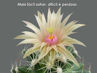 Mais fácil sofrer, difícil é perdoar. 