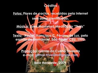 Créditos Fotos:  Flores de cactos, recebidas pela Internet sem autor identificado . Música : Jules Massenet, Meditação “Thais” Texto :  Xavier, Francisco C. Pérolas de Luz, pelo espírito de Emmanuel. São Paulo: CEU, 1992. Produção : Gilmar da Cunha Trivelato e-mail:  [email_address] Belo Horizonte, 2009. 