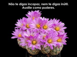 Não te digas incapaz, nem te digas inútil.Não te digas incapaz, nem te digas inútil.
Auxilie como puderes.Auxilie como puderes.
 