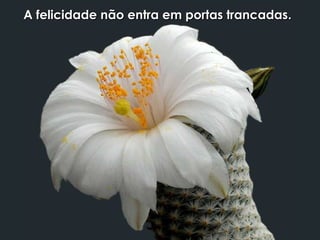 A felicidade não entra em portas trancadasA felicidade não entra em portas trancadas..
 