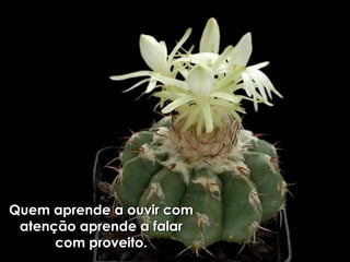 Quem aprende a ouvir comQuem aprende a ouvir com
atenção aprende a falaratenção aprende a falar
com proveito.com proveito.
 