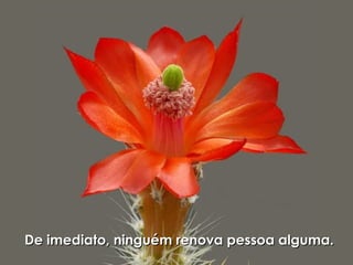 De imediato, ninguém renova pessoa alguma.De imediato, ninguém renova pessoa alguma.
 