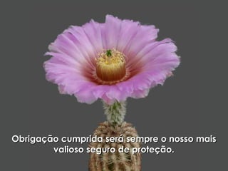 Obrigação cumprida será sempre o nosso maisObrigação cumprida será sempre o nosso mais
valioso seguro de proteção.valioso seguro de proteção.
 