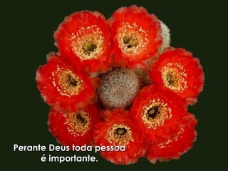 Perante Deus toda pessoaPerante Deus toda pessoa
é importante.é importante.
 