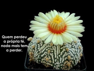 Quem perdeuQuem perdeu
a própria fé,a própria fé,
nada mais temnada mais tem
a perder.a perder.
 