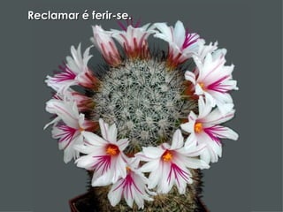 Reclamar é ferir-se. 