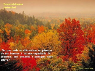 Desenvolvimento sustentável “ No que mais se diferenciam os pássaros do ser humano é na sua capacidade de construír, mas deixando a paisagem como estava.” Robert Lynnd –Irlanda- 