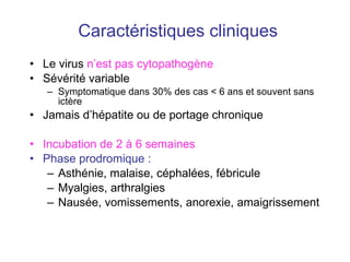 Caractéristiques cliniques Le virus  n’est pas cytopathogène Sévérité variable Symptomatique dans 30% des cas < 6 ans et souvent sans ictère Jamais d’hépatite ou de portage chronique Incubation de 2 à 6 semaines Phase prodromique : Asthénie, malaise, céphalées, fébricule Myalgies, arthralgies Nausée, vomissements, anorexie, amaigrissement 